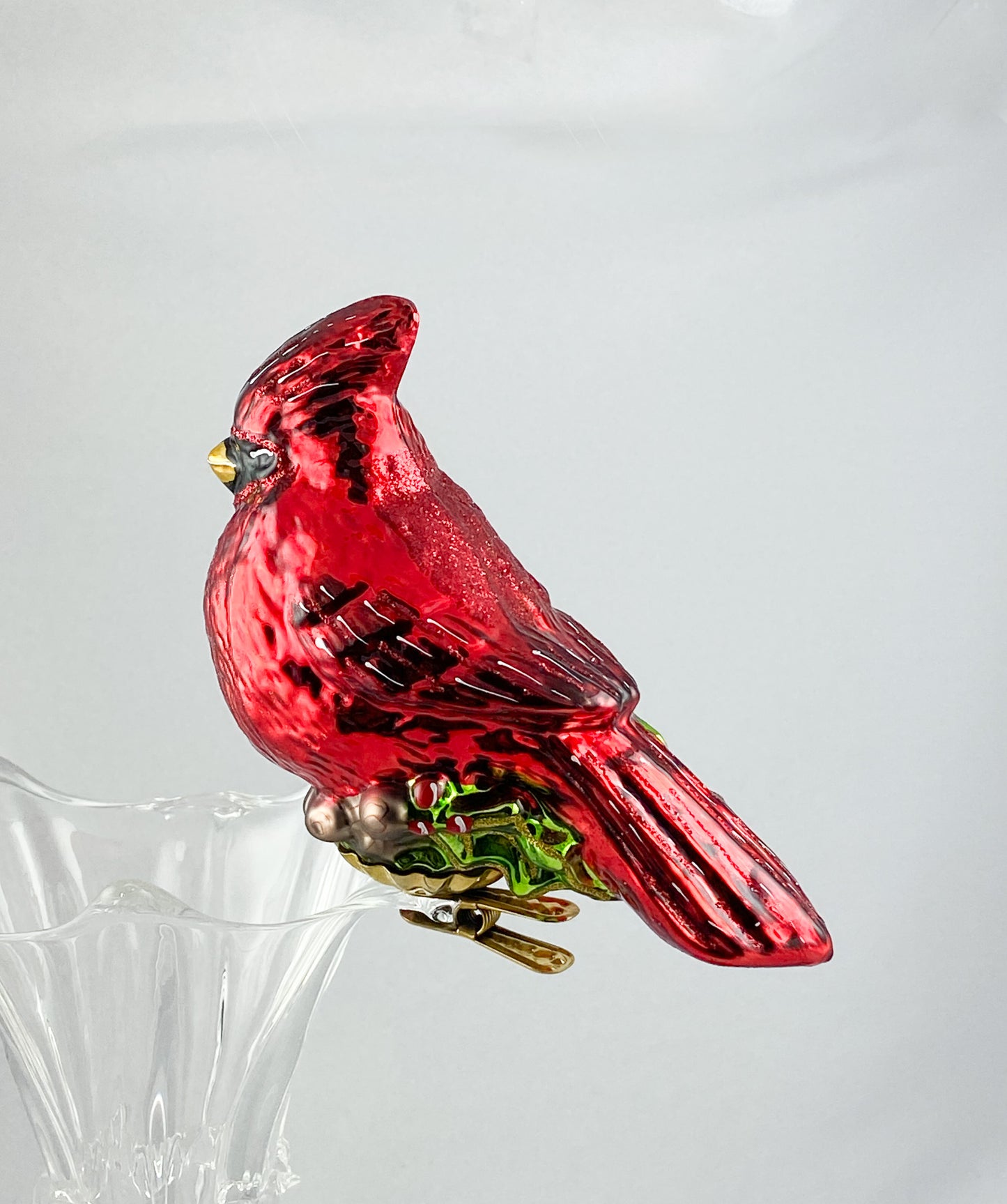 Roter Kardinal auf Clip