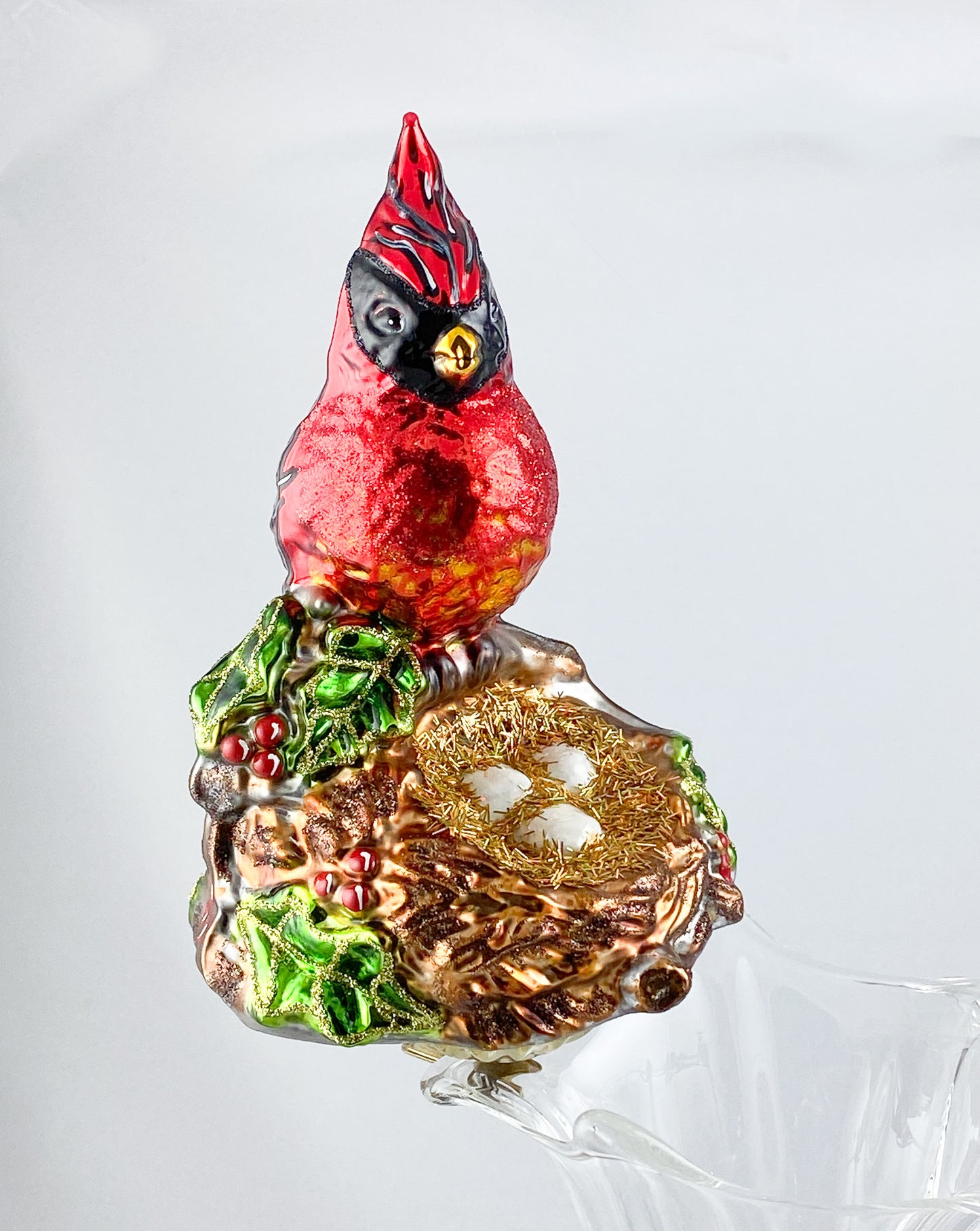 Roter Kardinal, Virgina Nachtigall sitzt vor dem Nest, auf Clip