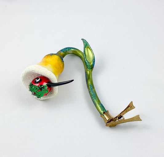 Kolibri sitzt in der grossen Blüte