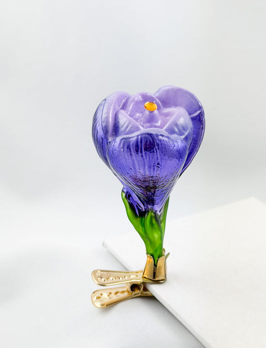 Crocus flower violet on clip