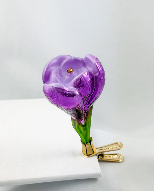 Pink crocus bloom on clip