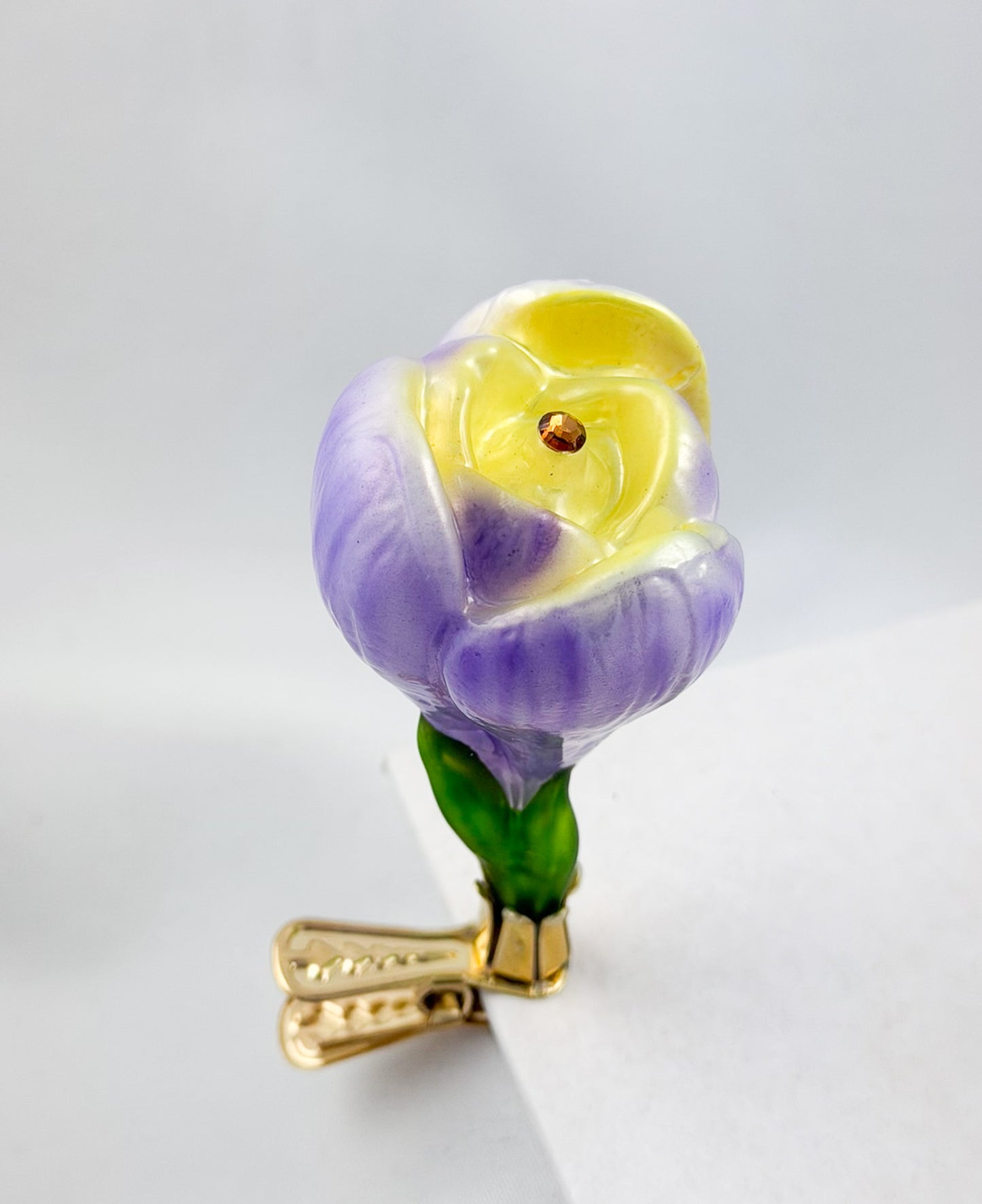 Krokusblüte mit lila und gelben Blütenblättern am Clip