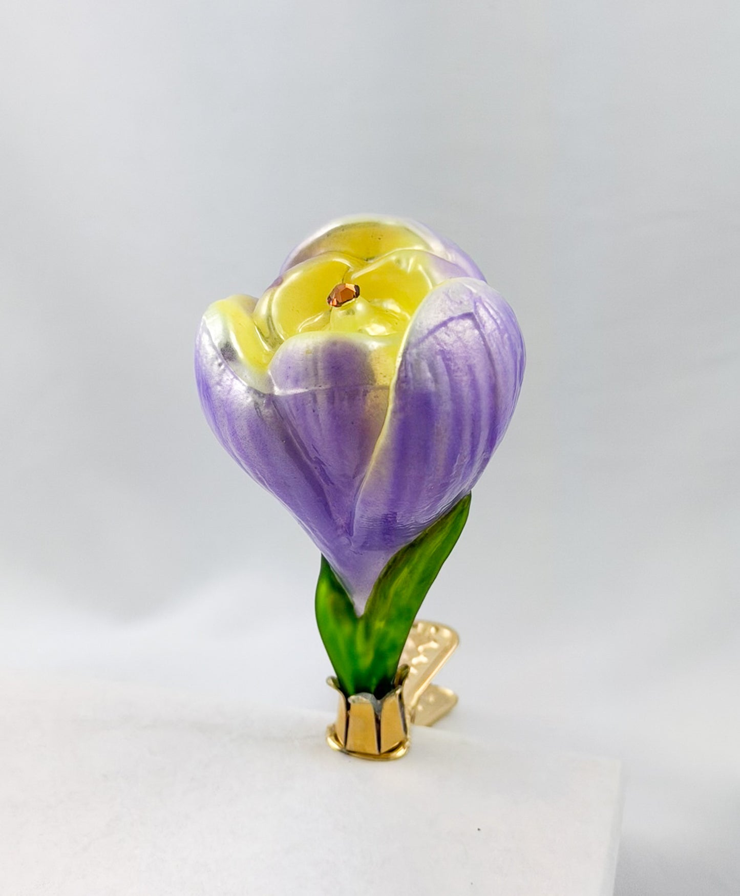 Krokusblüte mit lila und gelben Blütenblättern am Clip