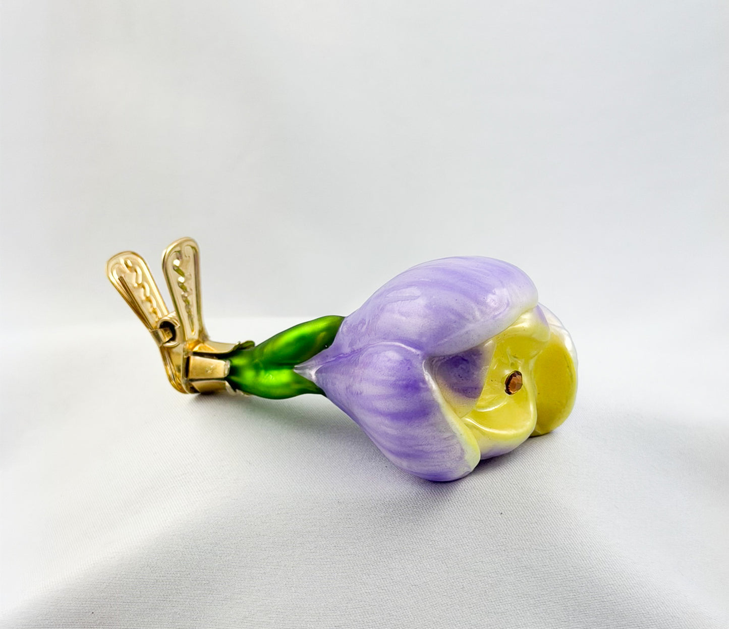 Krokusblüte mit lila und gelben Blütenblättern am Clip