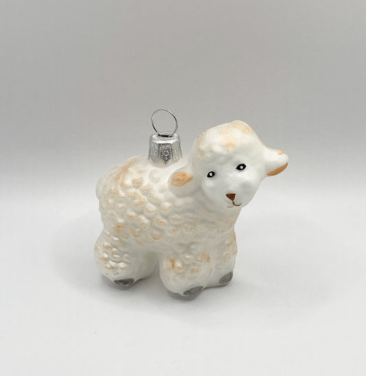 Small white lamb