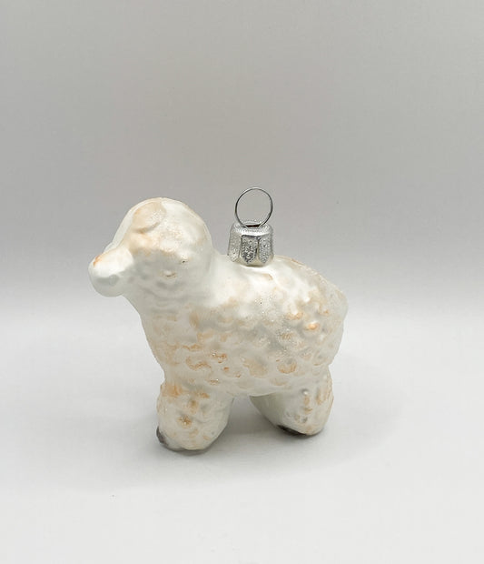 Small white lamb