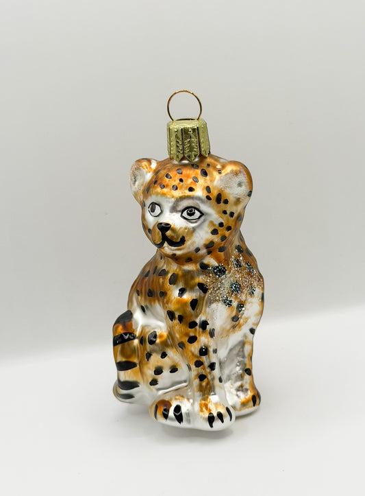 Junger Gepard