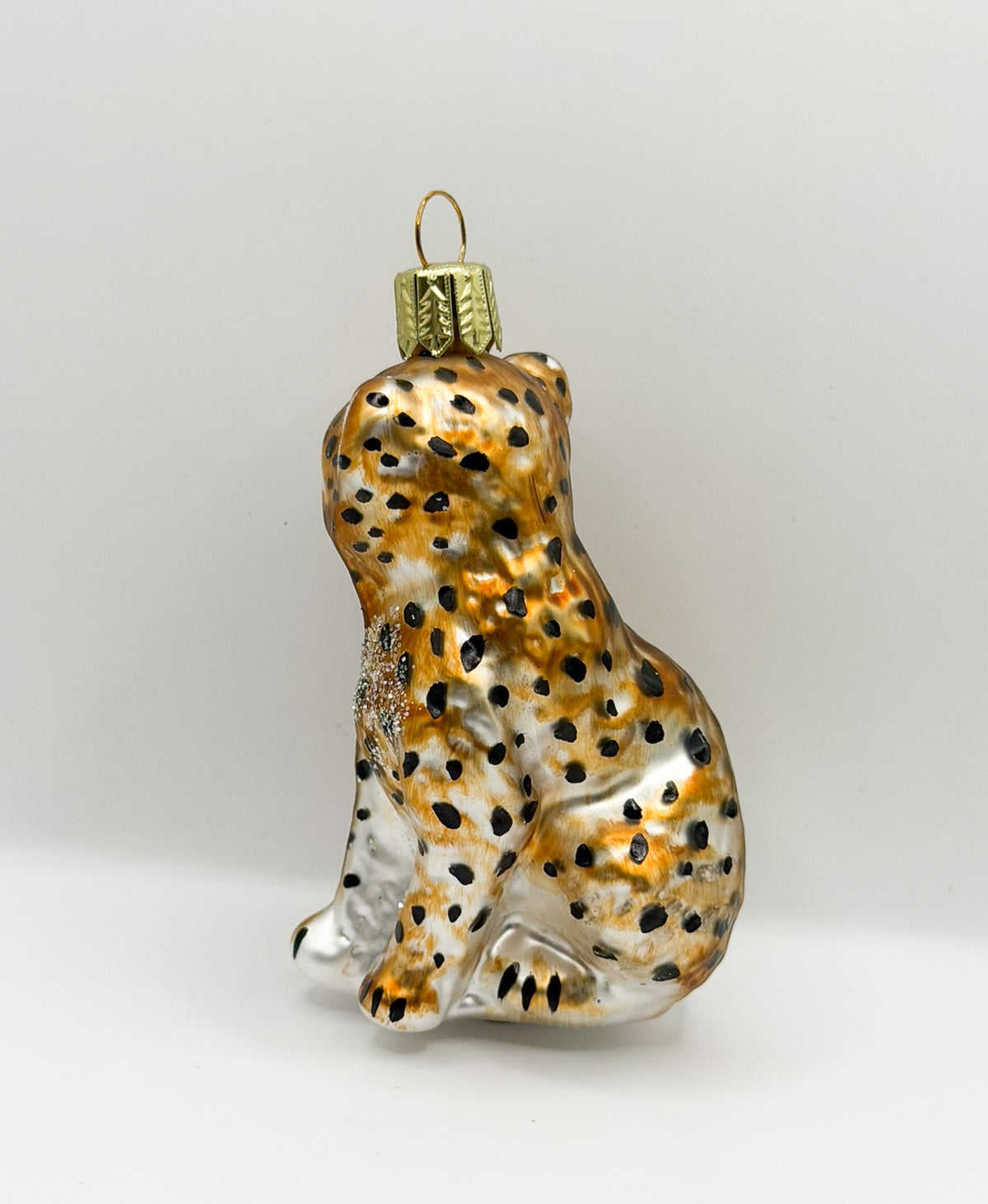 Junger Gepard