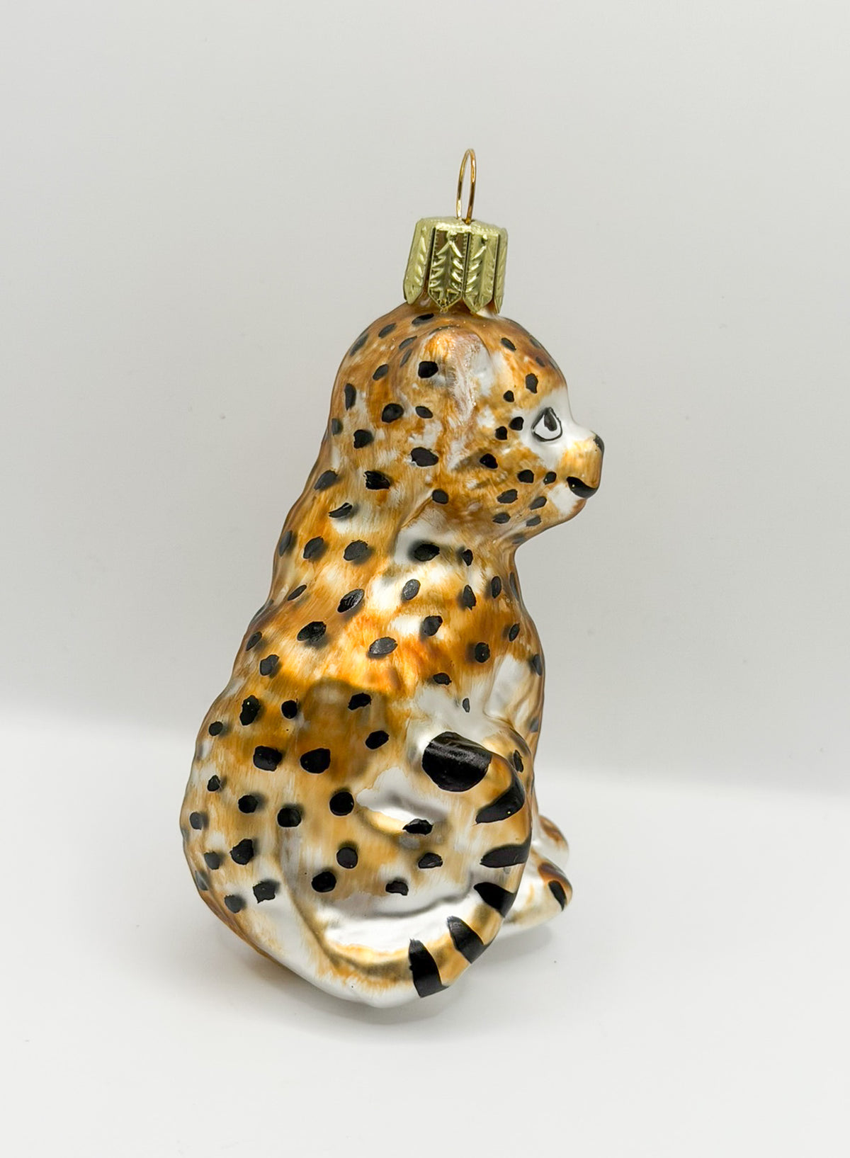 Junger Gepard