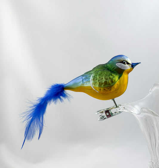 Fat blue tit with blue natural feather