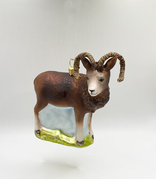 mouflon wild sheep