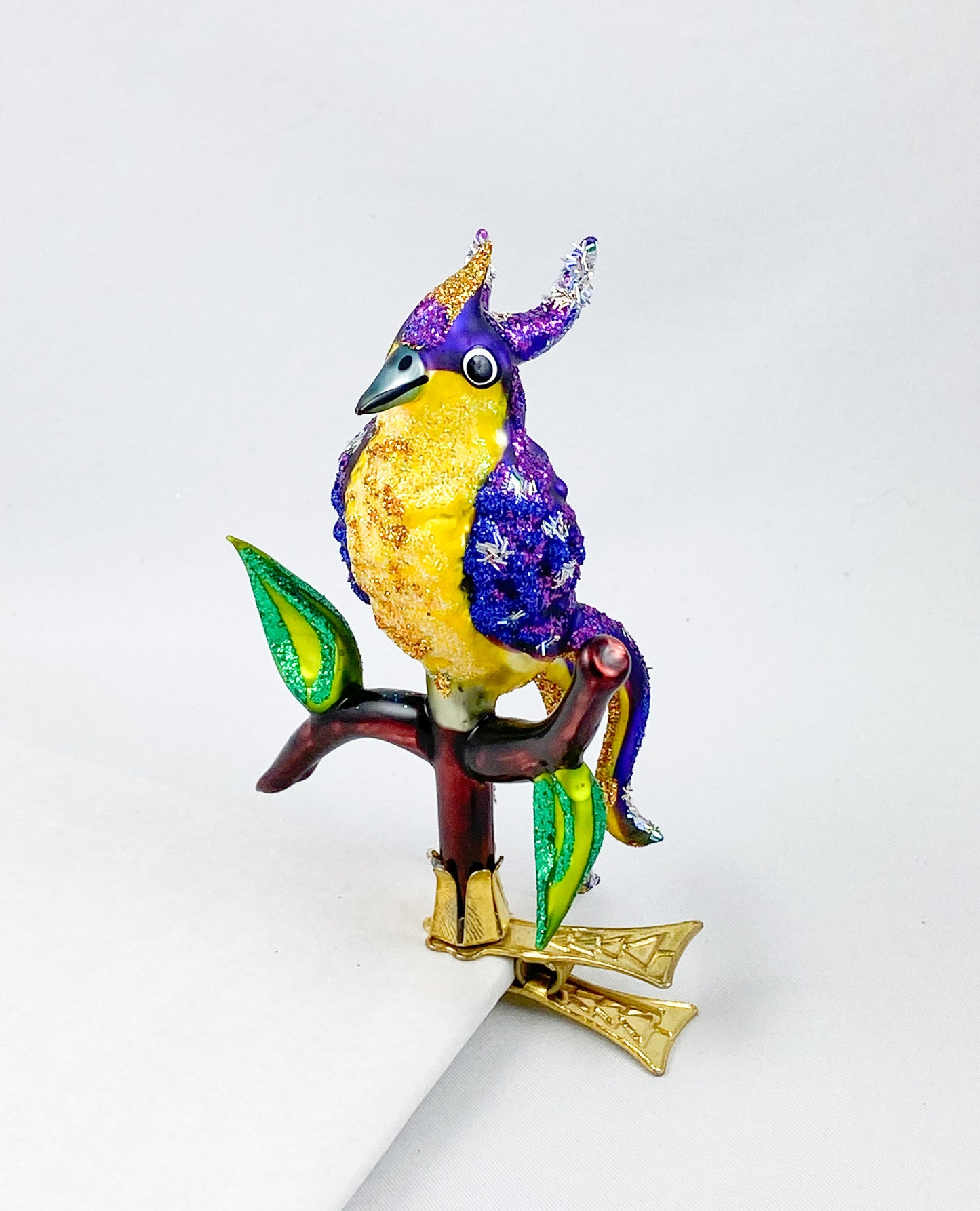 Violetter Paradiesvogel mit gelbem Bauch sitzt auf dem Zweig