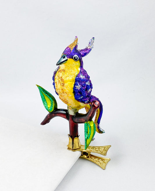 Violetter Paradiesvogel mit gelbem Bauch sitzt auf dem Zweig