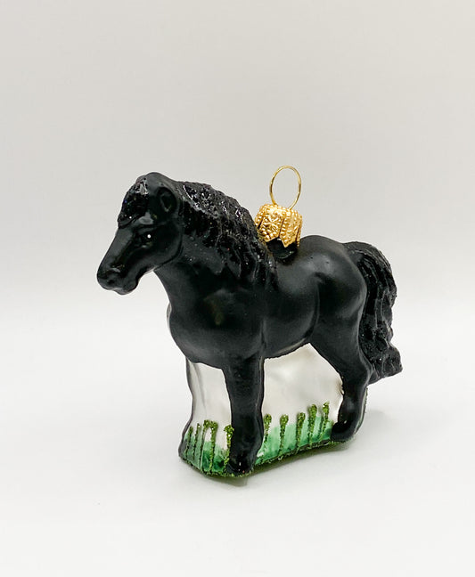 Little black horse