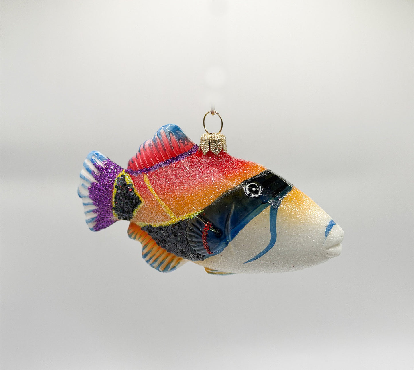 Diamant Picasso-Drückerfisch