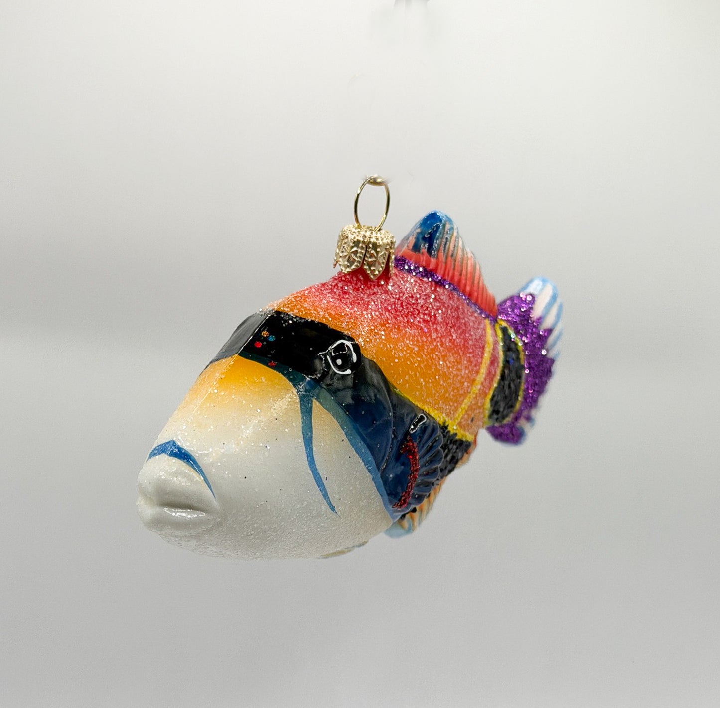 Diamant Picasso-Drückerfisch