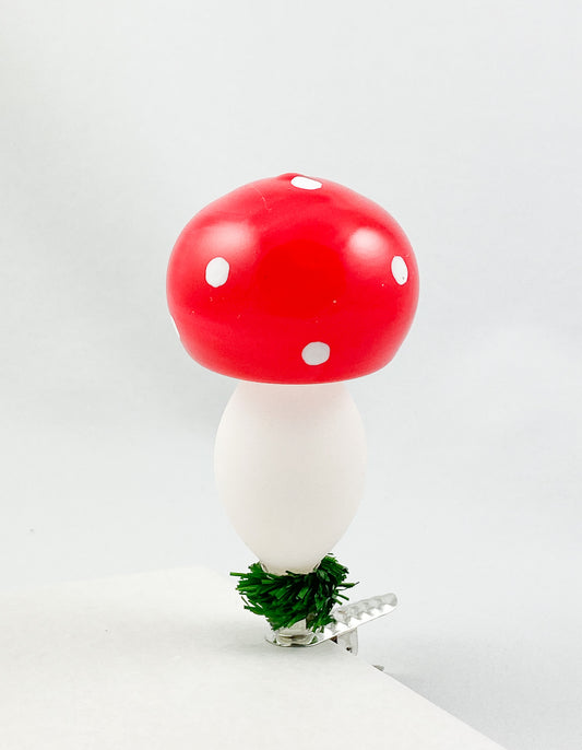 Fliegenpilz Glückspilz frei geblasen, auf Clip