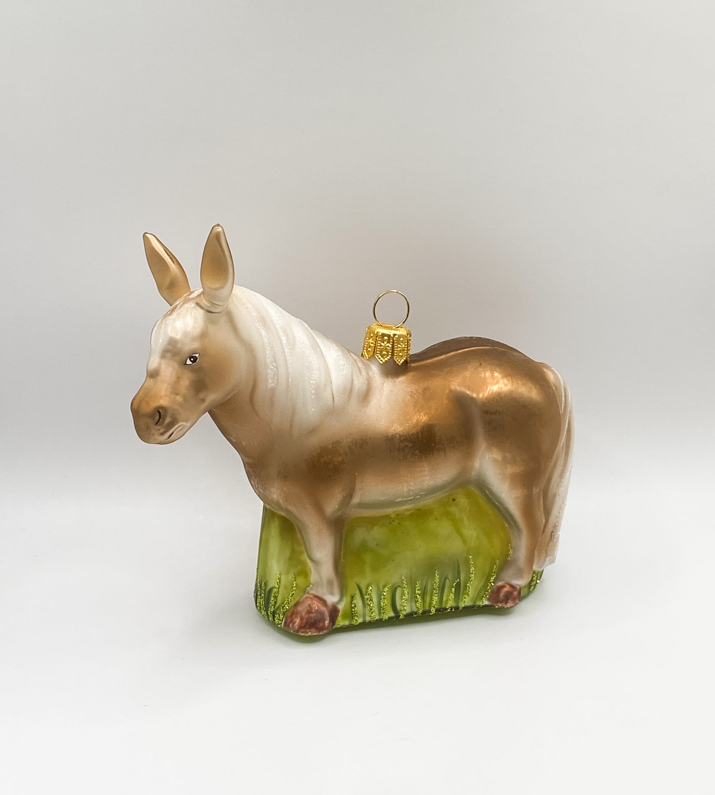 Shetland pony