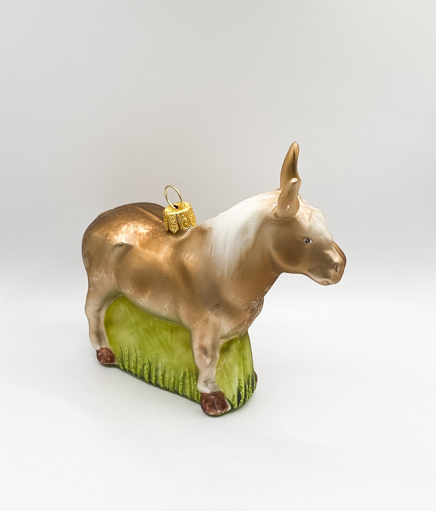 Shetland pony