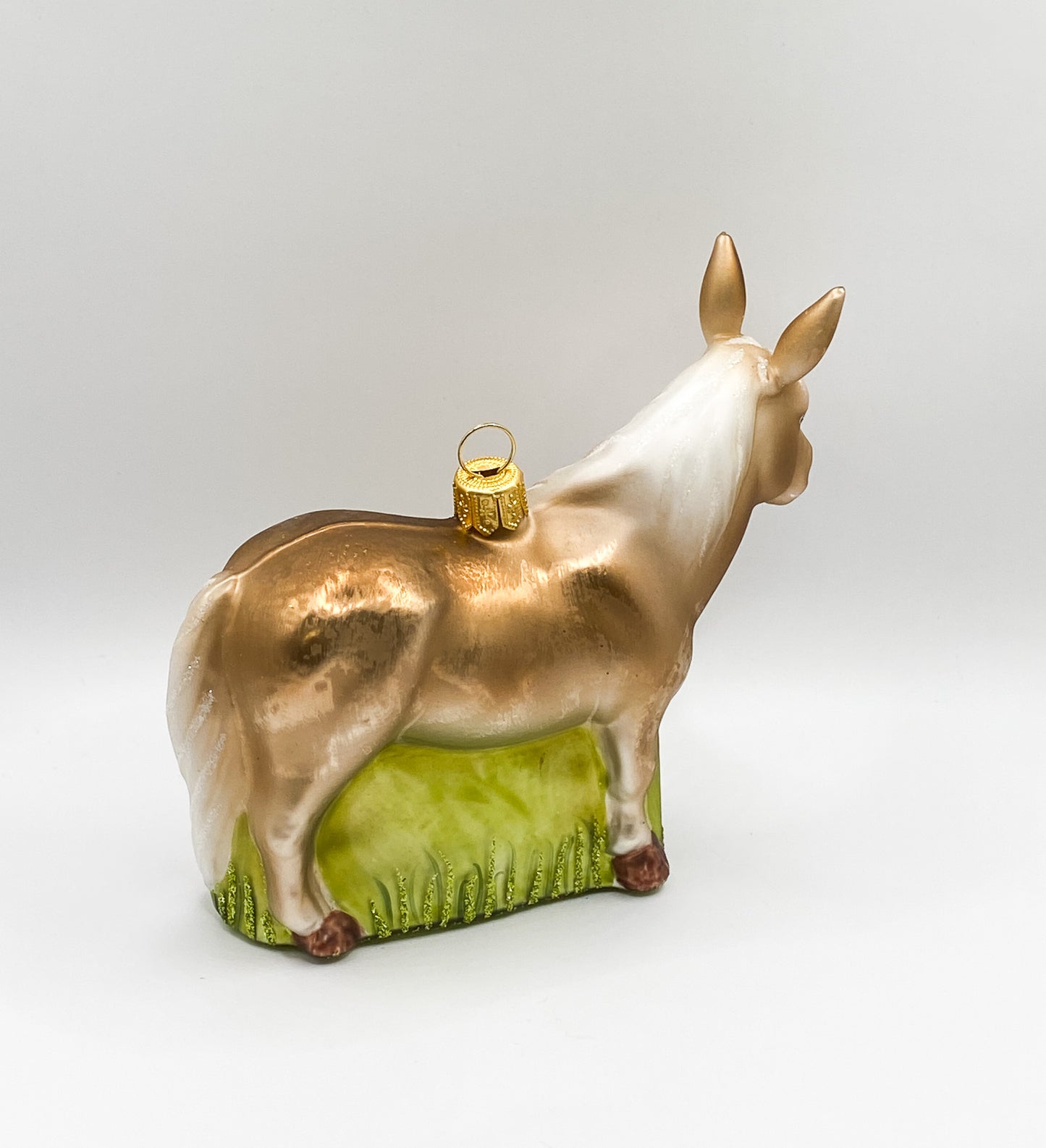 Shetland pony