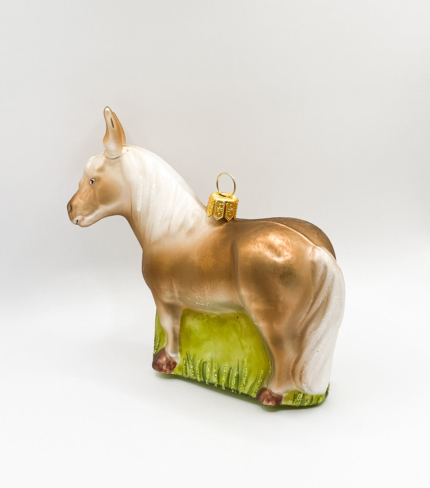 Shetland pony