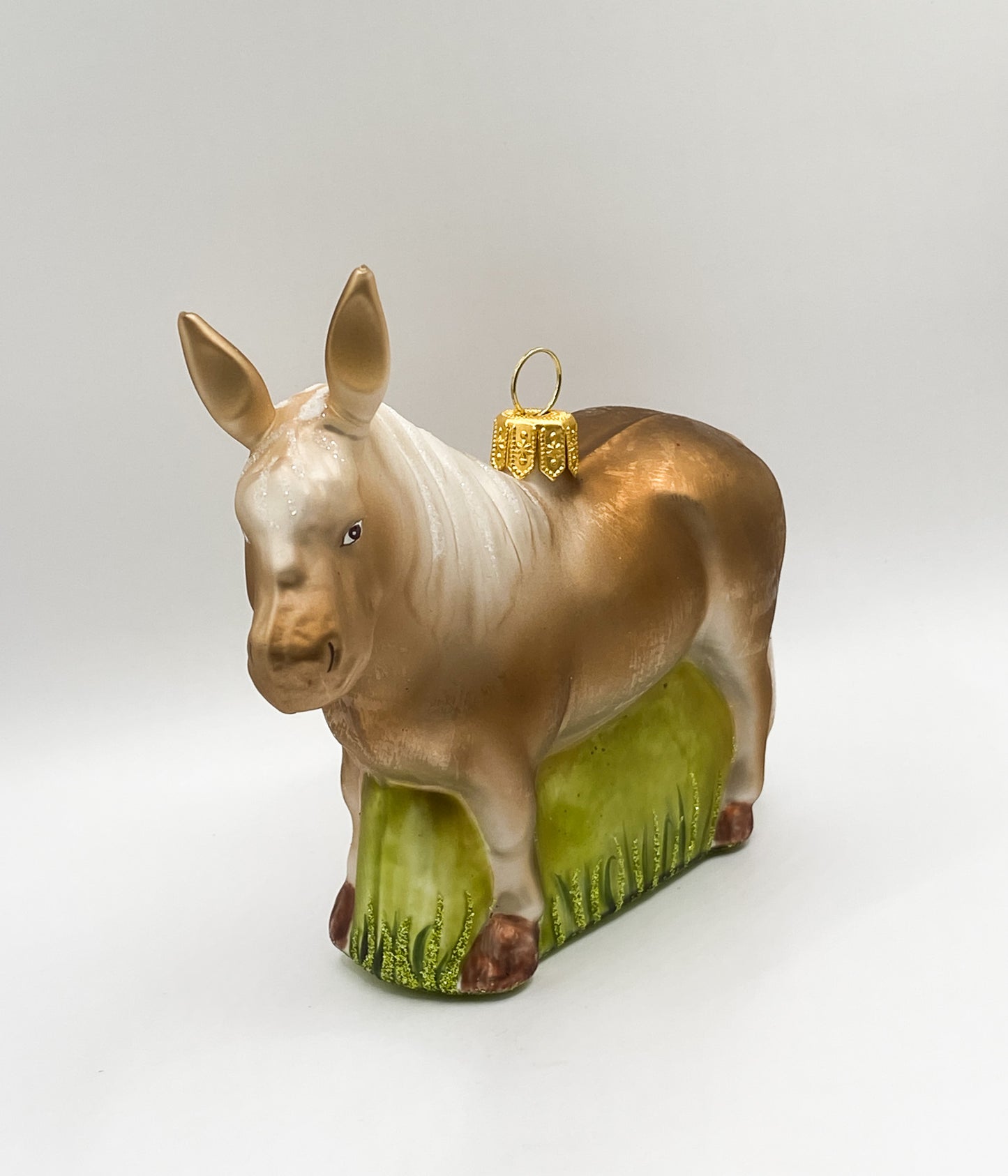 Shetland pony