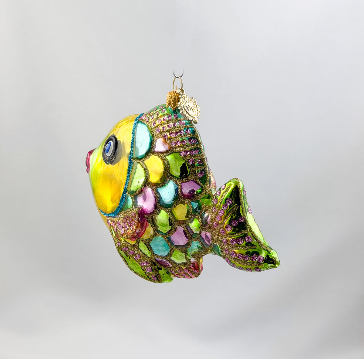 Regenbogen Fisch mit bunten Schuppen