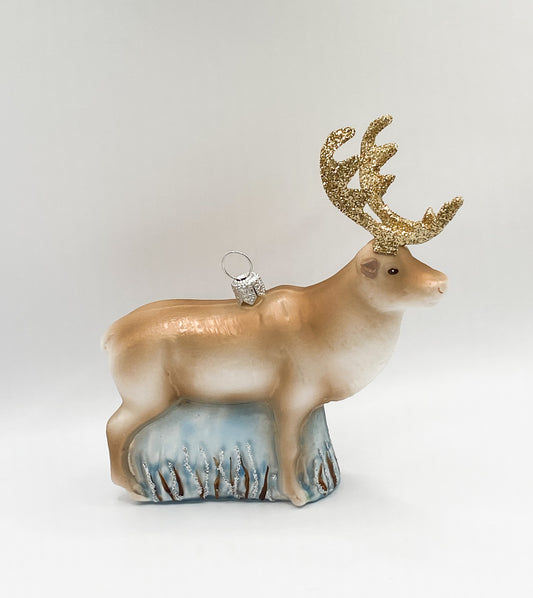Rentier in der Tundra