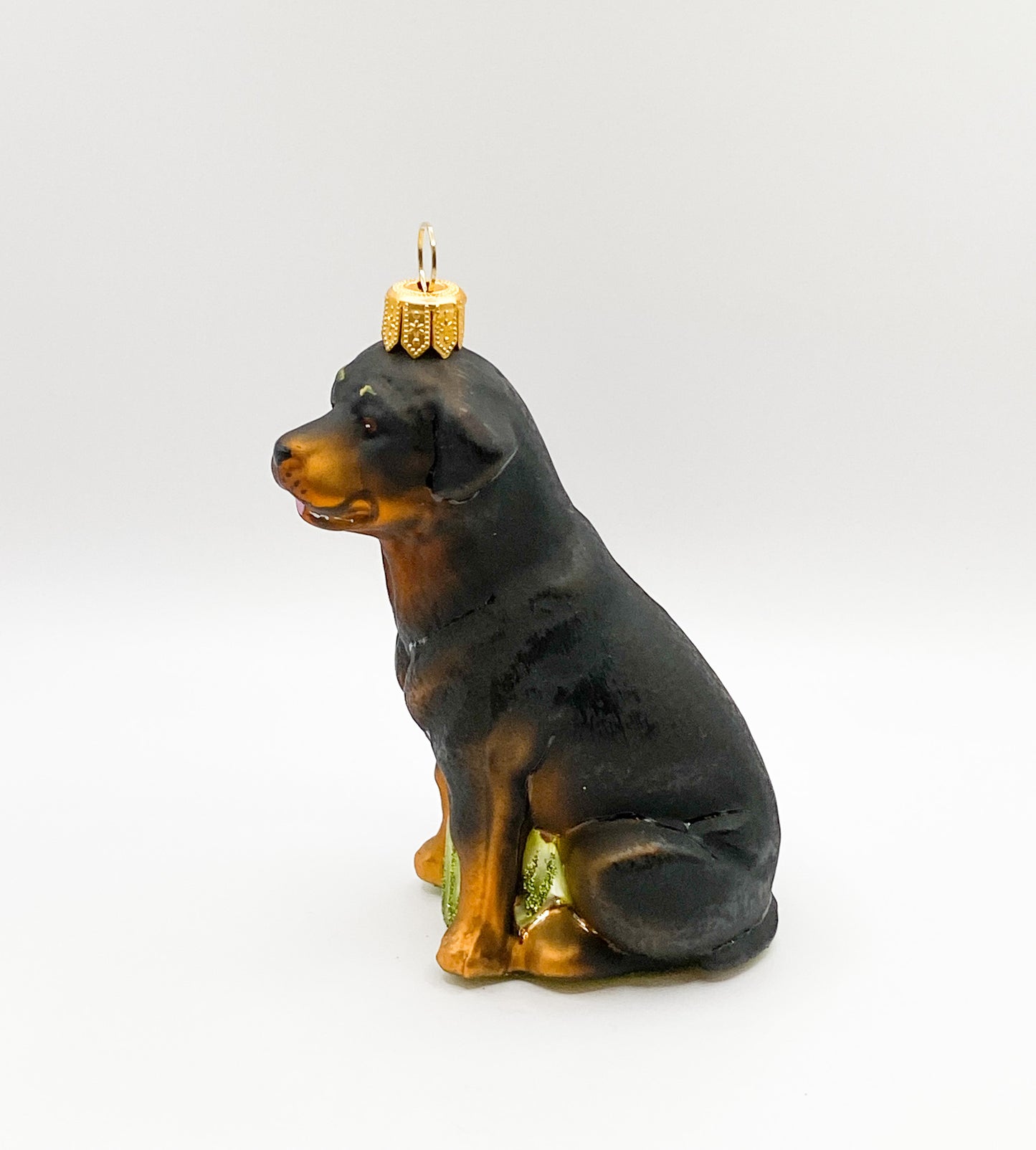 Sitting Rottweiler Dog
