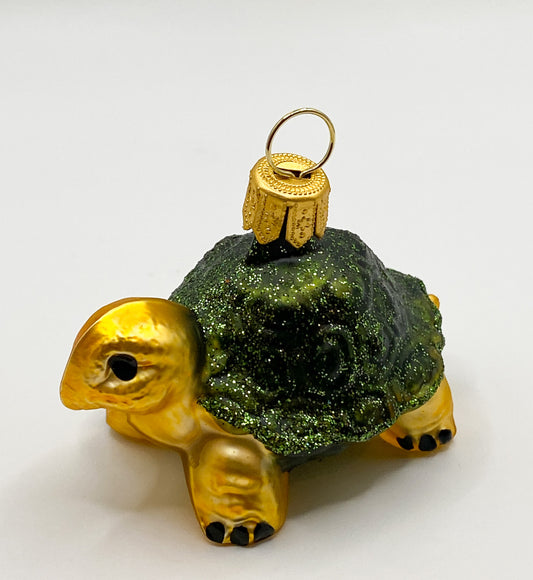 Kleine grüne Schildkröte