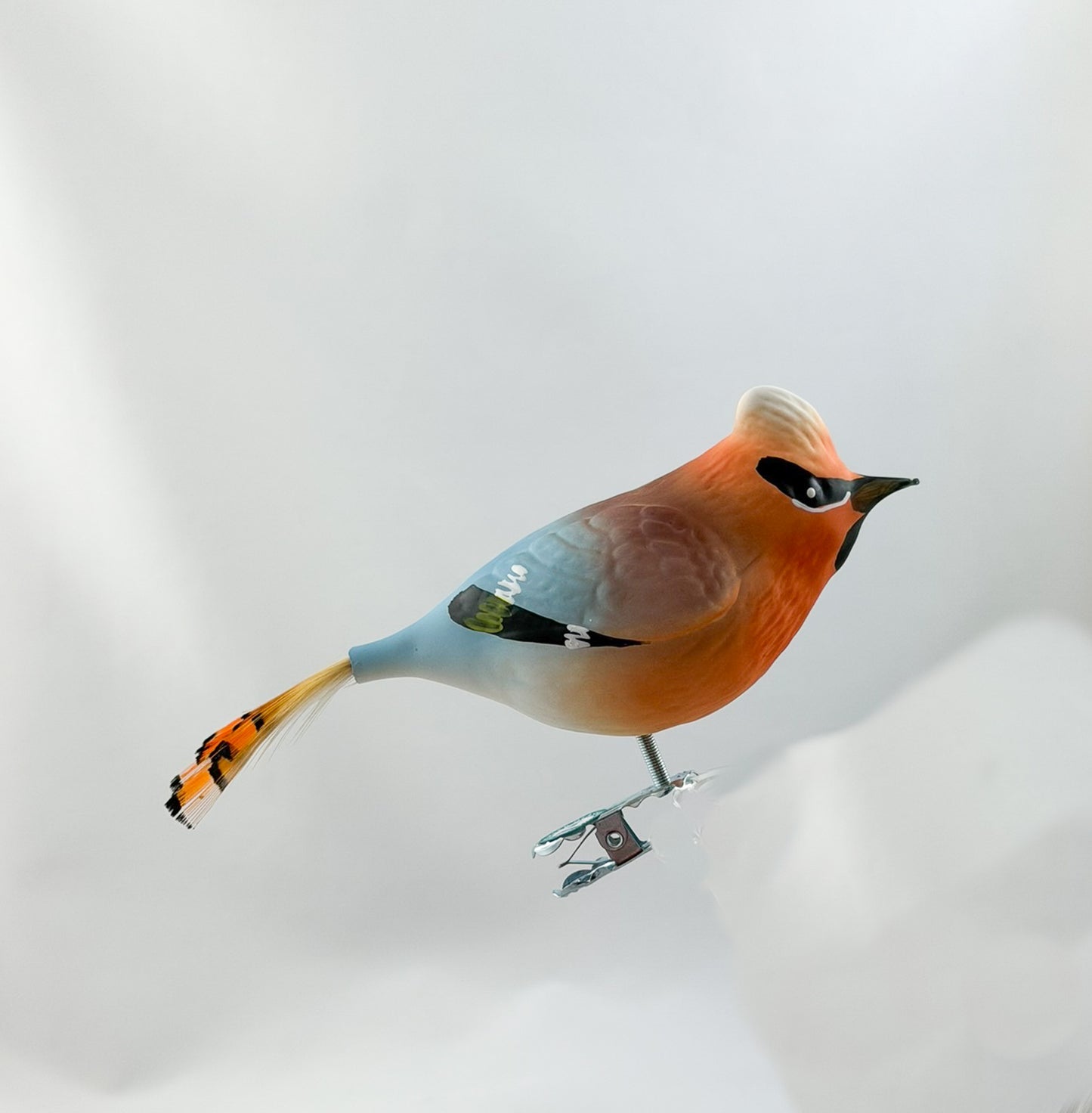Seidenschwanz-Vogel