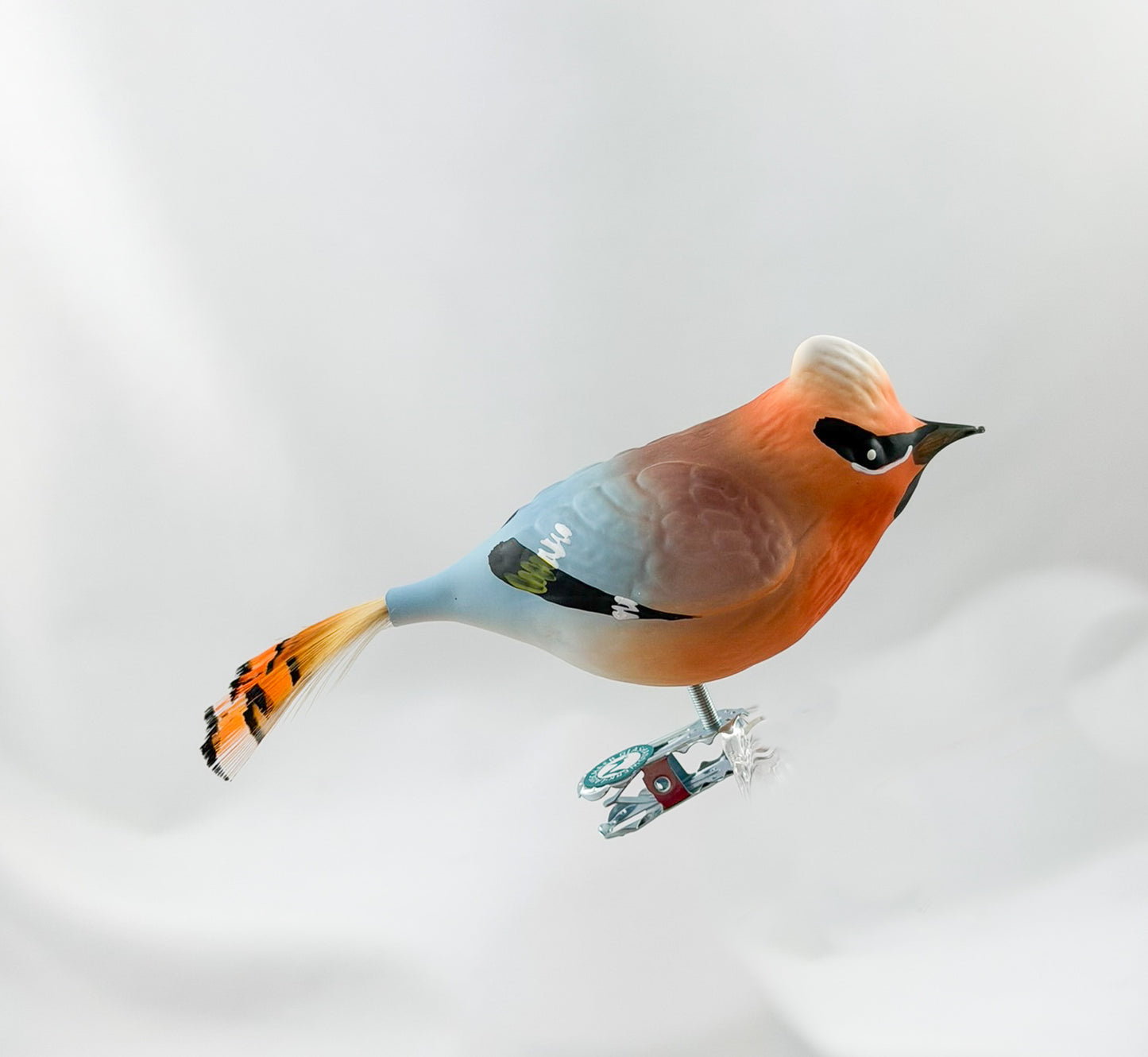 Seidenschwanz-Vogel