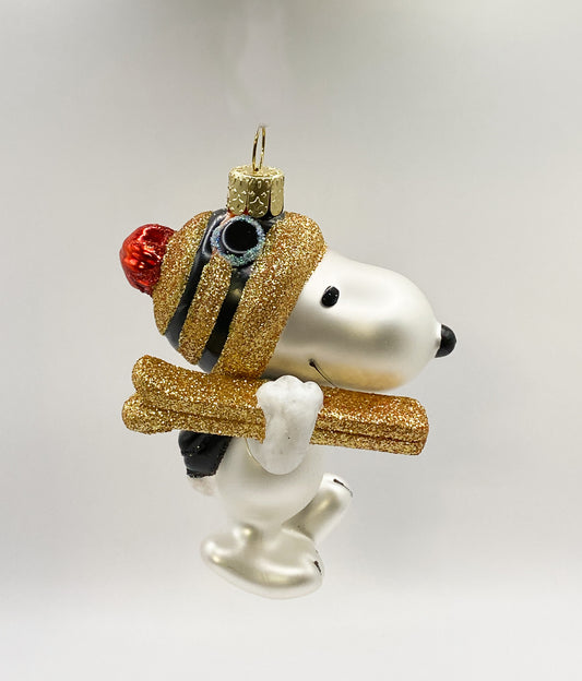 Snoopy goes skiing