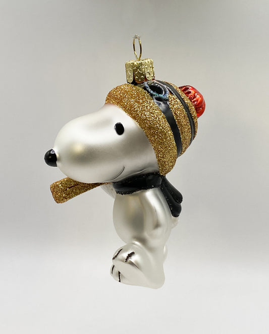Snoopy goes skiing