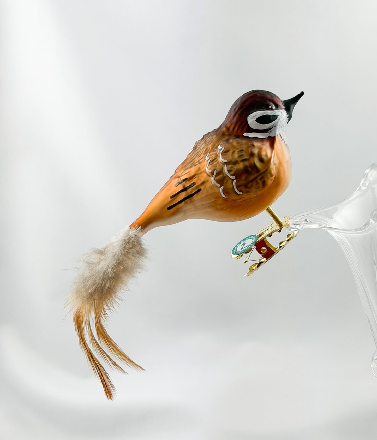 Dicker Feld-Sperling, Feld-Spatz mit hellbrauner Naturfeder