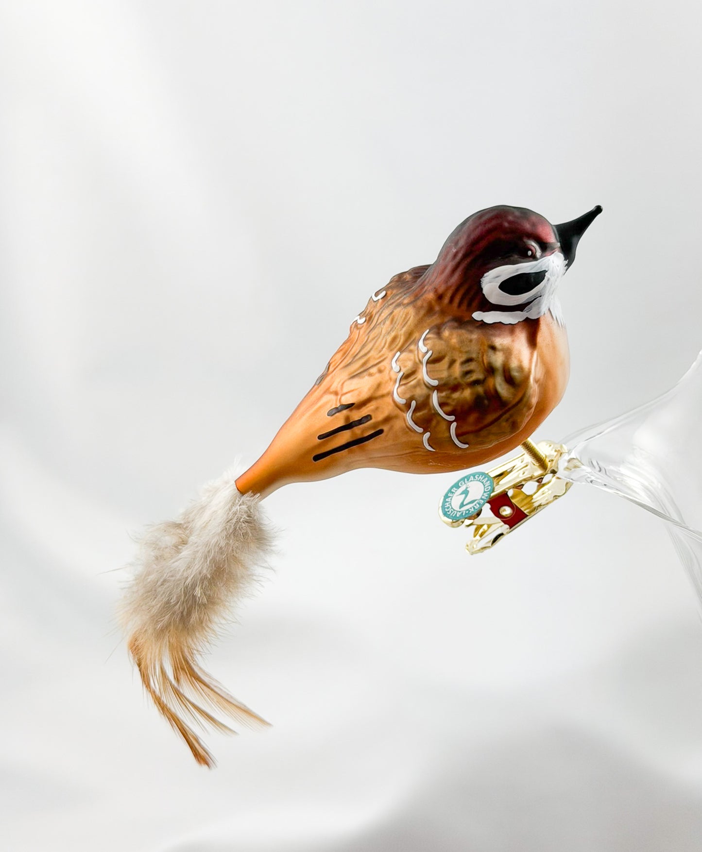 Dicker Feld-Sperling, Feld-Spatz mit hellbrauner Naturfeder