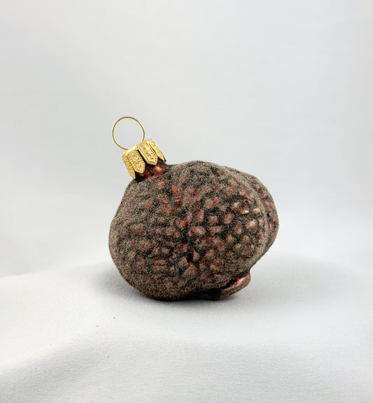 Black Truffle