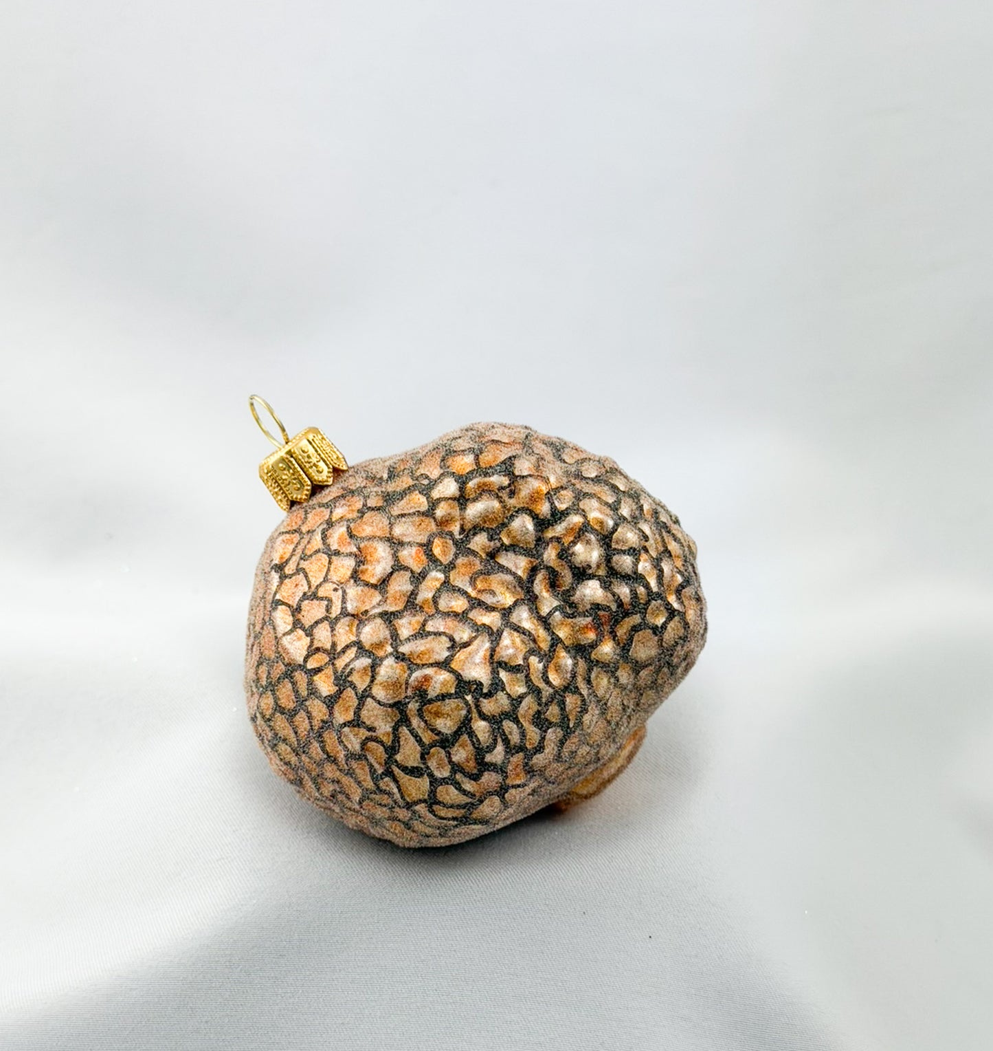 White truffle tuber