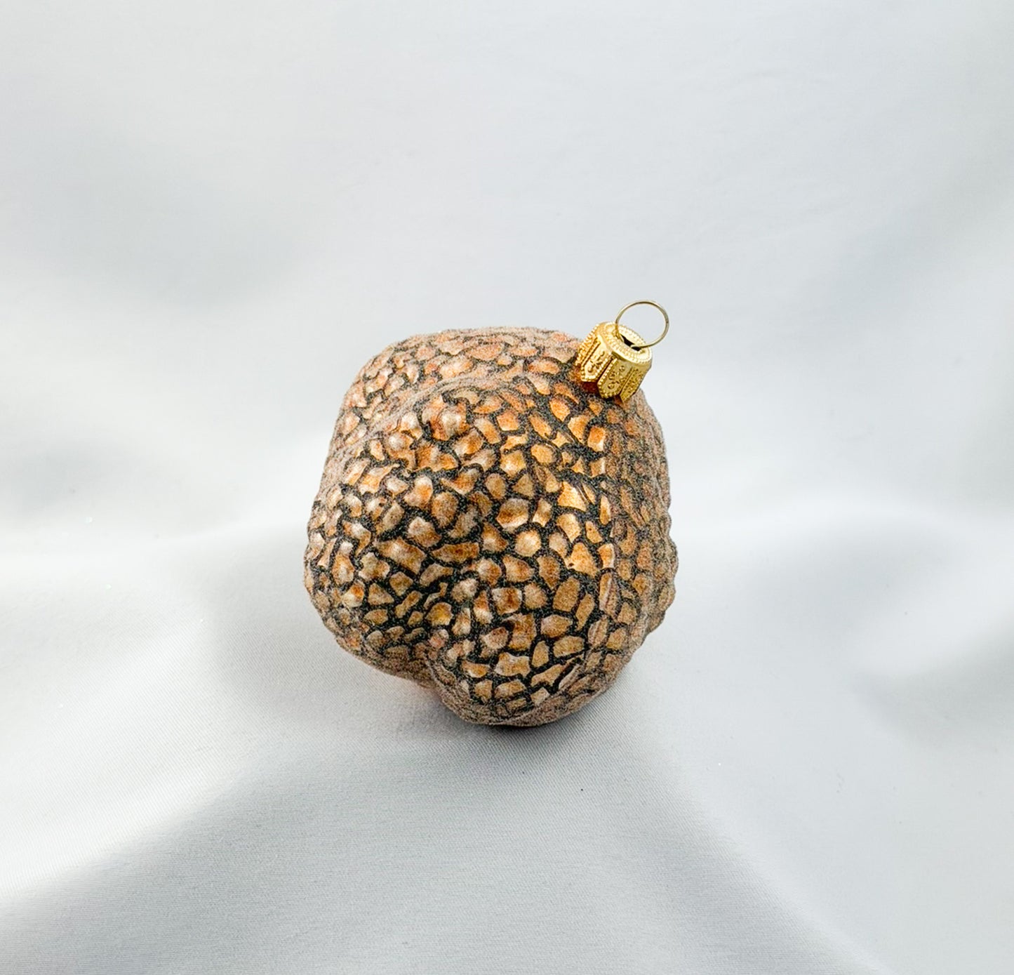 White truffle tuber