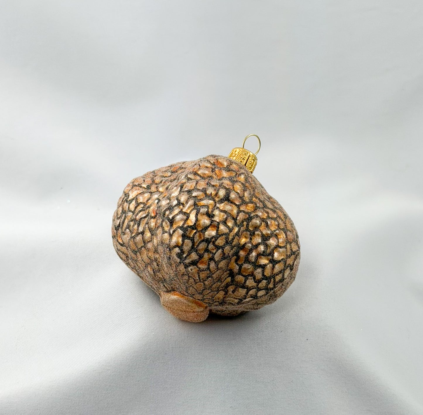 White truffle tuber