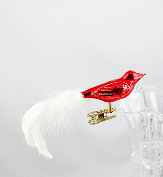 Kleines rotes Vögelchen mit weissem Schwanz