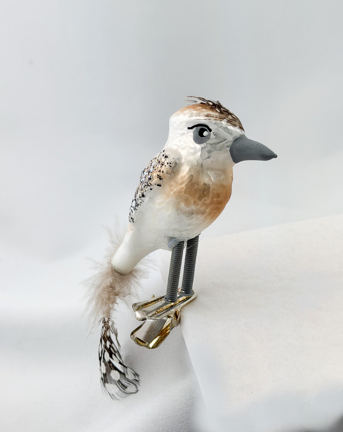 Little woodpecker on clip