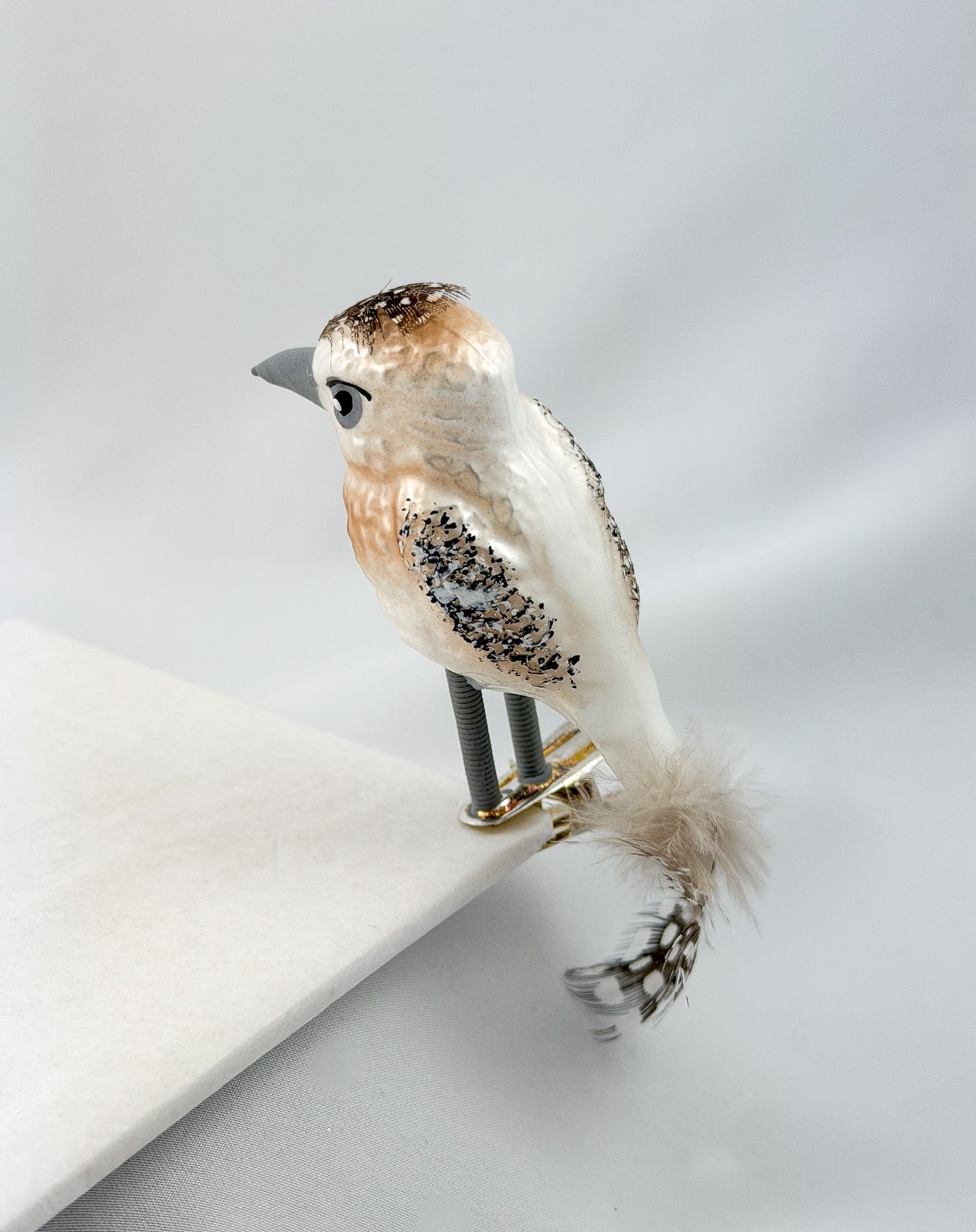 Little woodpecker on clip
