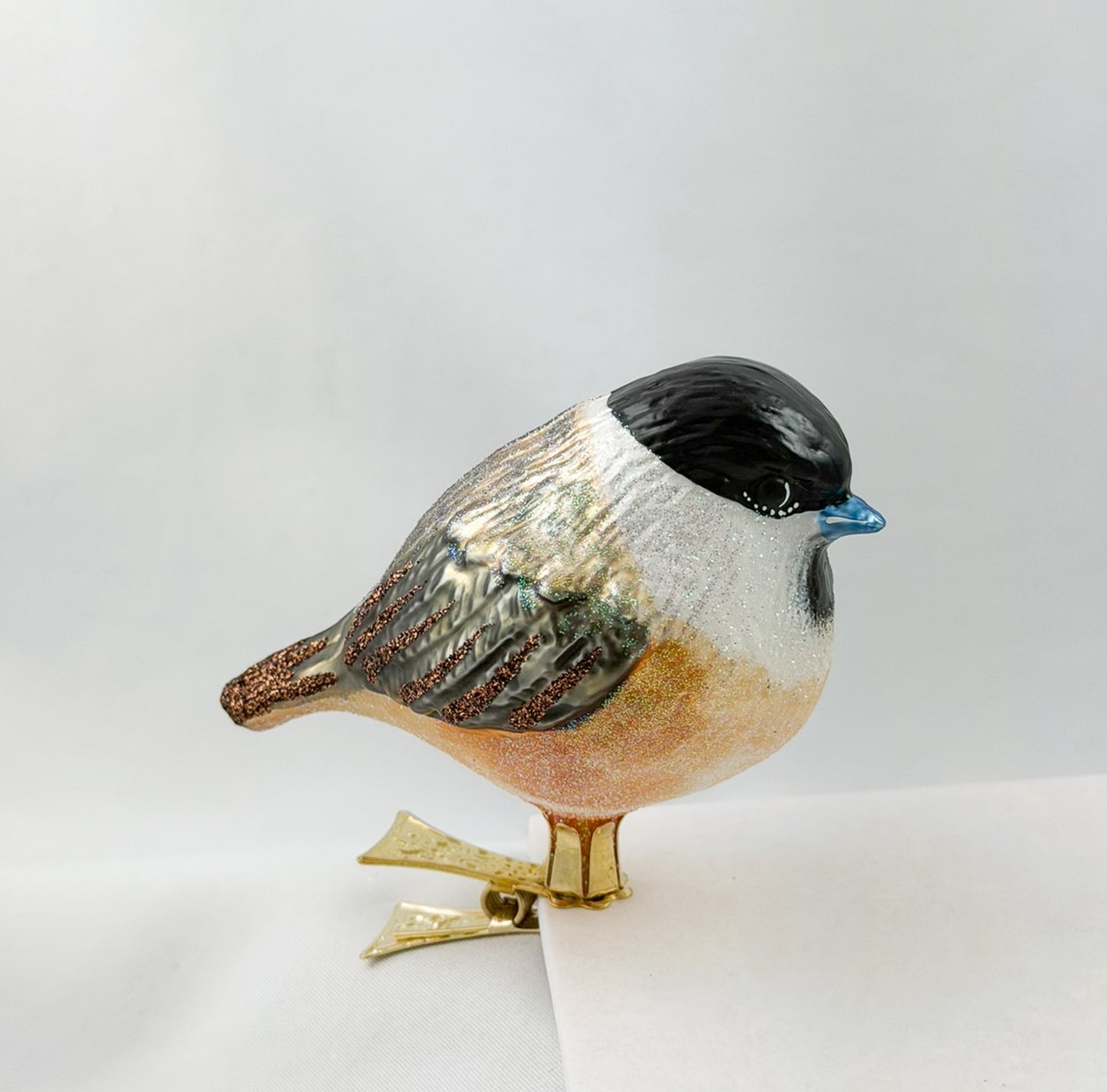 Willow Tit or Marsh Tit on a clip