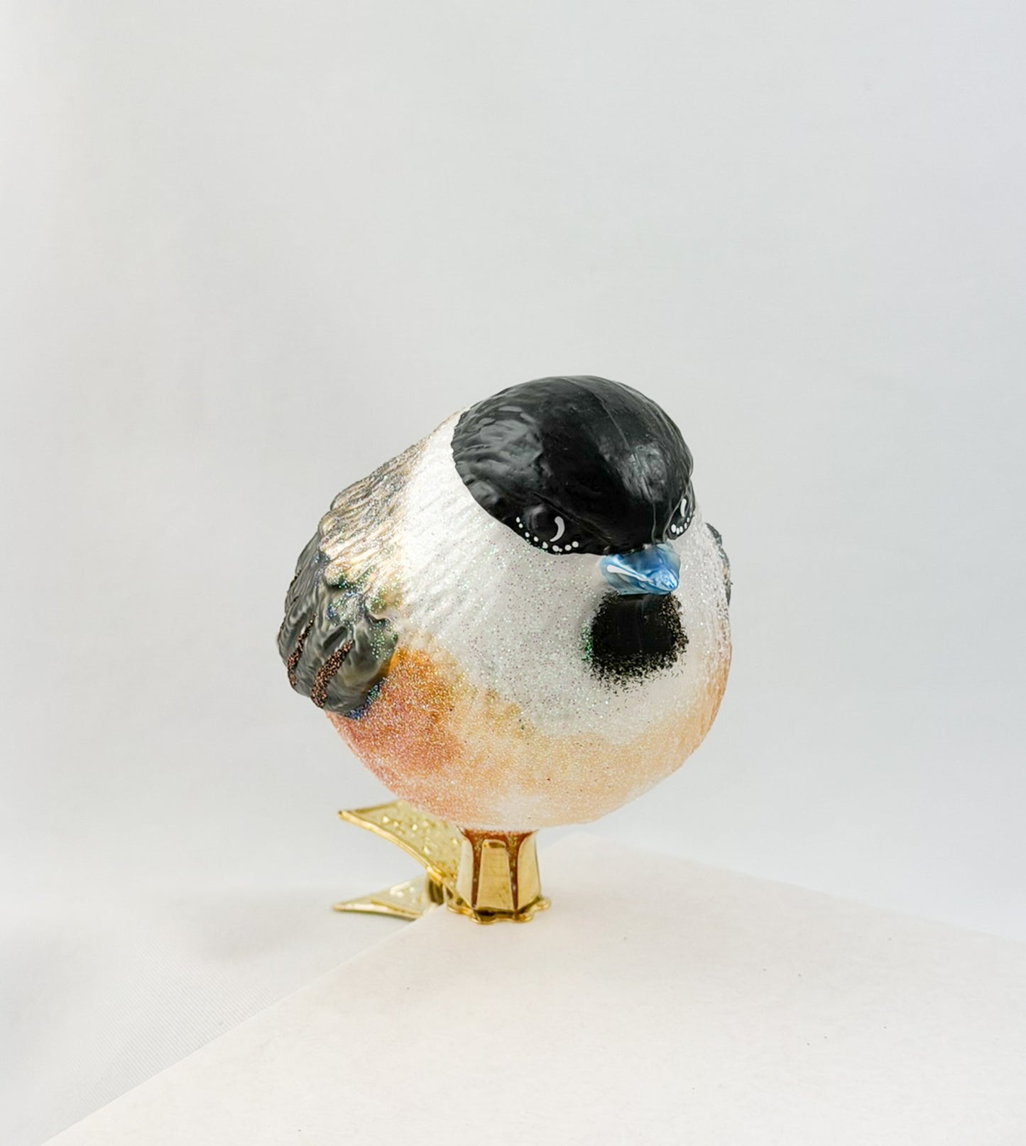 Willow Tit or Marsh Tit on a clip