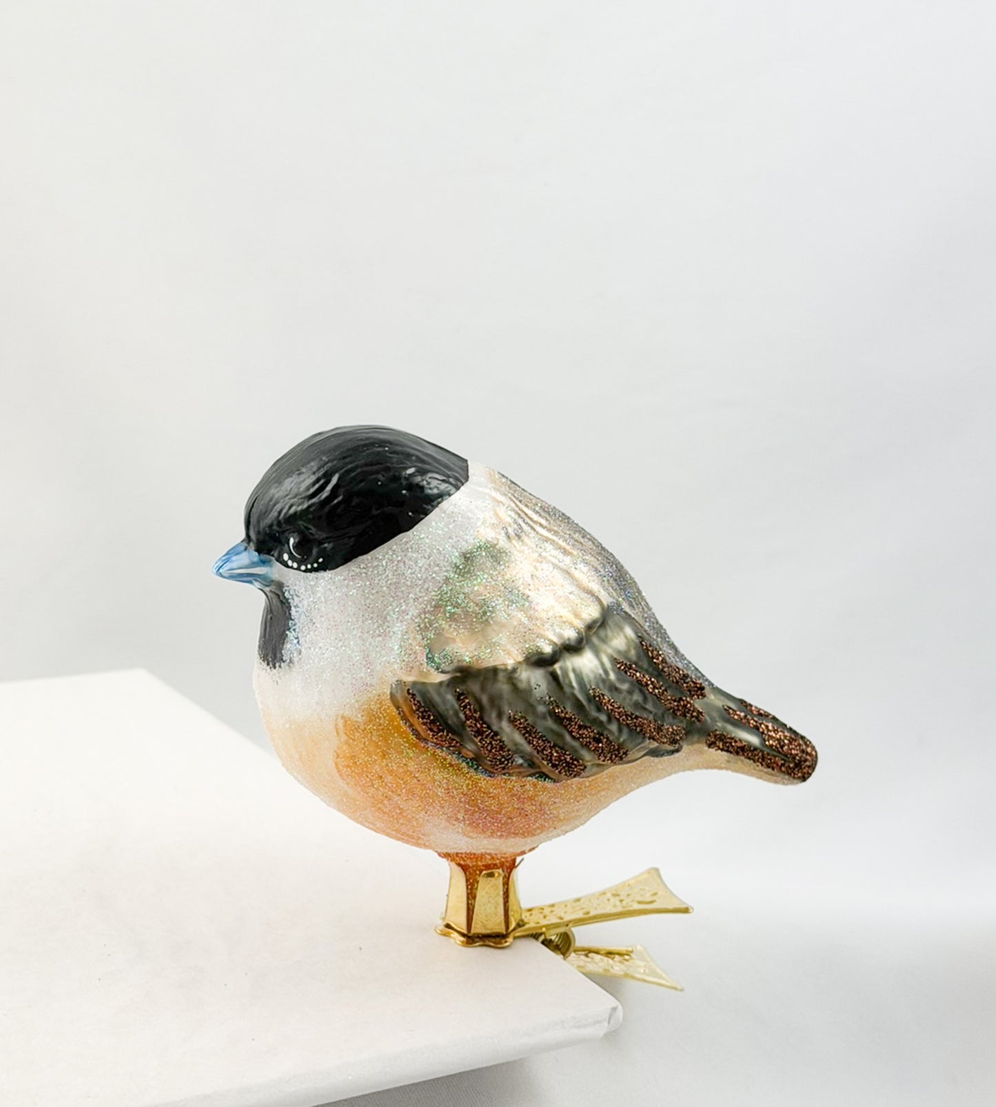 Willow Tit or Marsh Tit on a clip