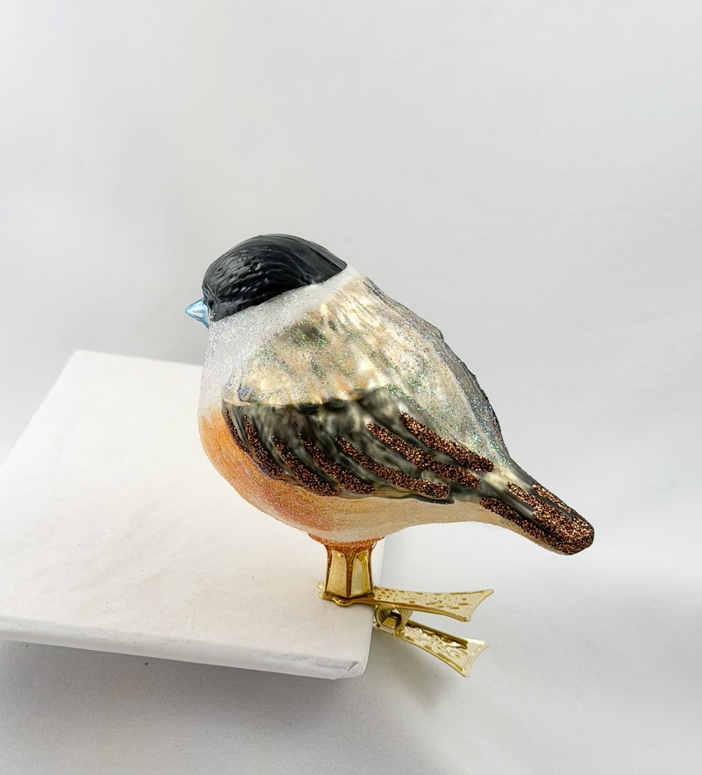 Willow Tit or Marsh Tit on a clip