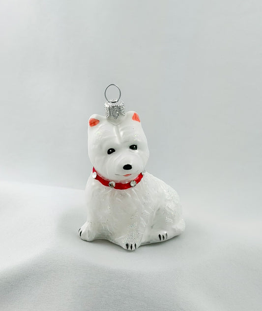 West Highland Terrier dog with red glitter collar