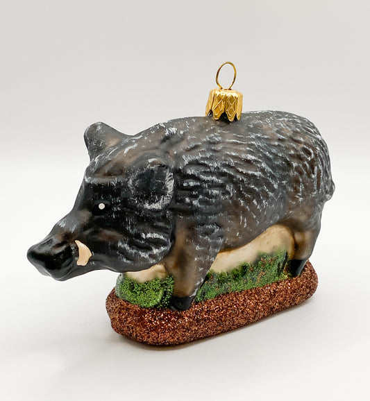 Schwarzer Keiler, Wildschwein