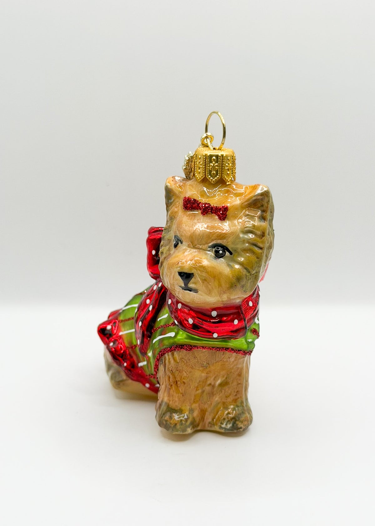 Yorkshire Terrier Hund